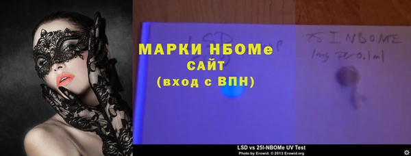 индика Верея